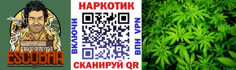 Меф мяу мяу Пугачёв