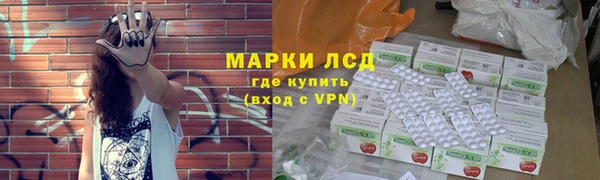 прущие грибы Навашино