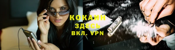 стафф Нефтегорск