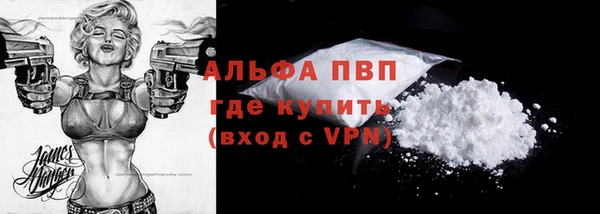 ПСИЛОЦИБИНОВЫЕ ГРИБЫ Новозыбков