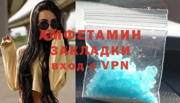 ПСИЛОЦИБИНОВЫЕ ГРИБЫ Новозыбков
