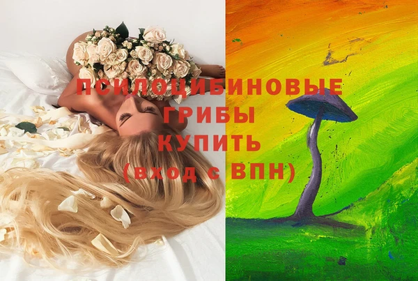 шишки Олёкминск